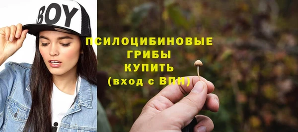 прущие грибы Баксан