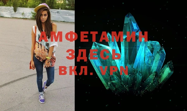 прущие грибы Баксан