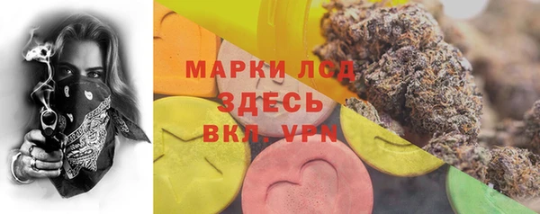 прущие грибы Баксан