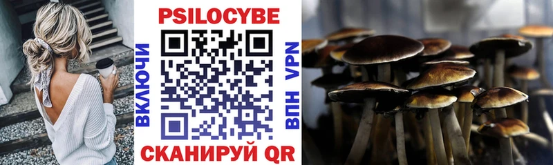 Купить где  Бабушкин  Псилоцибиновые грибы прущие грибы 